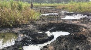 Rivers community gives govt ultimatum over exclusion from Ogoni cleanup