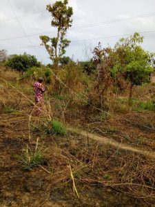 132kV Double Circuit transmission line vandalised