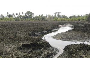 Ogoni threatens to petition UN over alleged destruction of farmlands by Shell