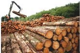 Nigerian govt, exporters to stop export of processed wood by 2020