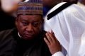 Barkindo makes case for OPEC countries on oil relevance
