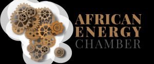 German-African Energy Forum a boost for energy security & investment 