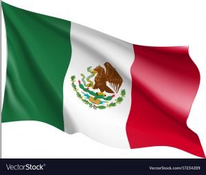 Mexico’s sovereign debt credit rating still at risk – financial stability council