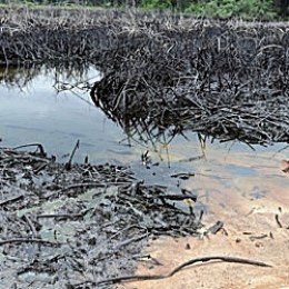 Oil spill in Abia