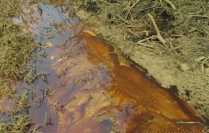 Agip oil spill