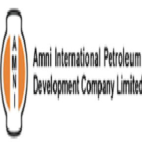 AMNI-International-Petroleum