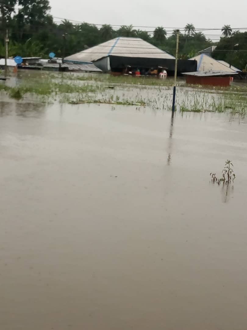 Ijaw group berates NDDC, NEMA, FG over flood menace