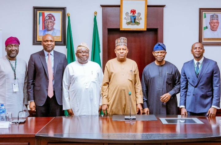 Nigeria signs agreement for Shiroro solar power project