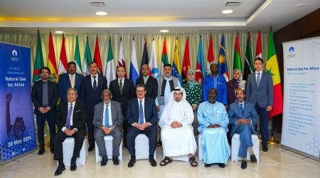 GECF hosts landmark workshop for Africa Day Celebration