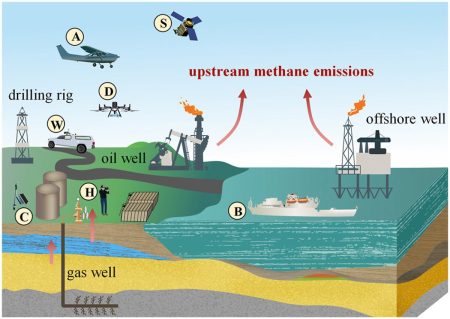 Methane emissions rising in beef-rich Brazil, climate group