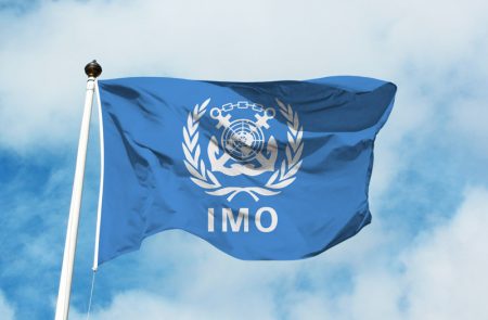 Campaigners urge IMO to keep Biofuels out of the Net-Zero Framework