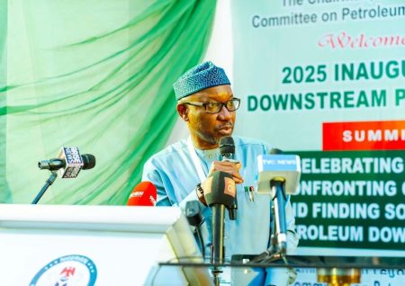 ‘Nigeria’s gas downstream sector on path to transformation’ – Ekpo