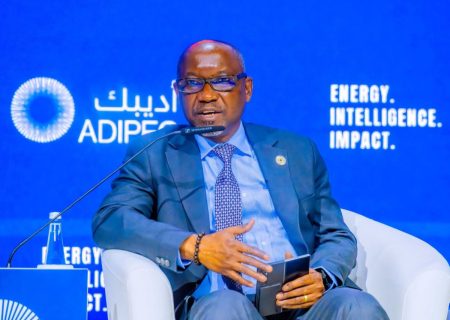 Nigeria calls for pragmatic energy transition