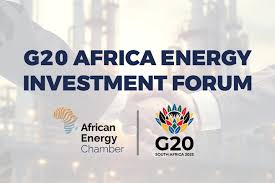 G20 Investment Forum to showcase Africa’s energy projects as global priority