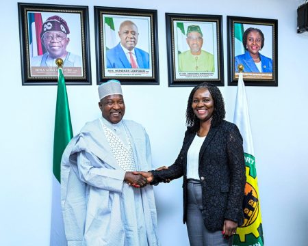 Eyesan promises enhanced transparency, digital transformation at NUPRC