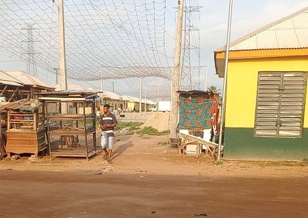 TCN issue no-compensation warning as communities encroach power lines