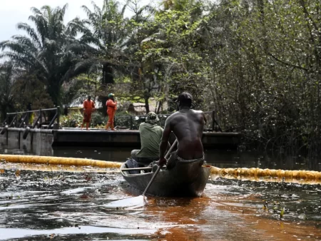 Niger Delta on environmental brink as activists demand emergency declaration