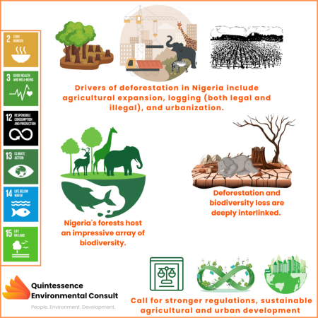 How the loss of biodiversity in Nigeria is undermining its survival