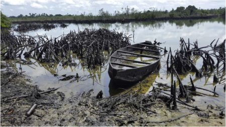 Vanishing mangroves put Niger Delta communities at risk
