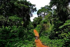 Niger State bets on eco city to draw green investors