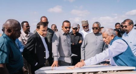 Dangote raises planned investment in Ethiopia fertiliser project to over $4bn