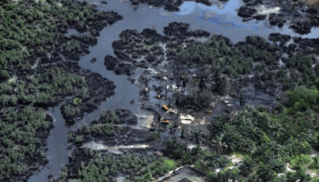 Offshore oil expansion puts critical marine ecosystems at risk, environmental groups warn