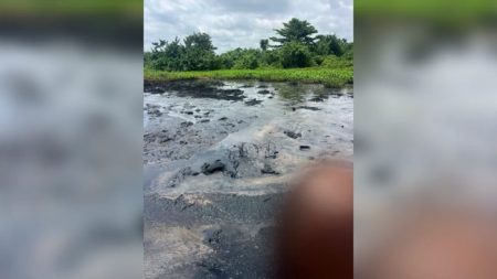 Ogun community seeks urgent action over alleged water pollution
