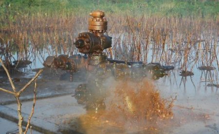 ‘We are drinking crude’: Niger Delta women expose pollution crisis