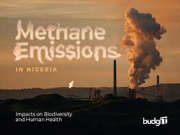 Methane emission regulation enforcement may unlock Nigeria’s gas revenue