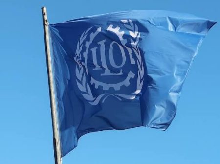 NAPO seeks ILO intervention over NLNG Train-7 labour dispute