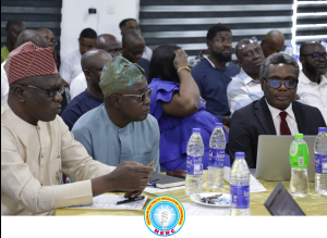 NERC holds south-east regional sensitization on curbing vandalism of power Infrastructure